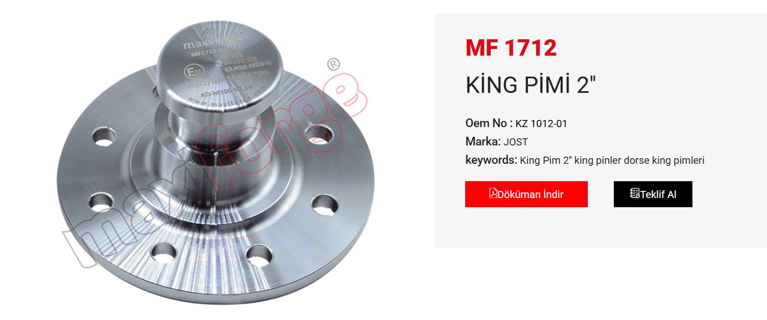 KING PIM 2 '' KAFA TABLASIZ CE BELGELI KZ 1012-01
